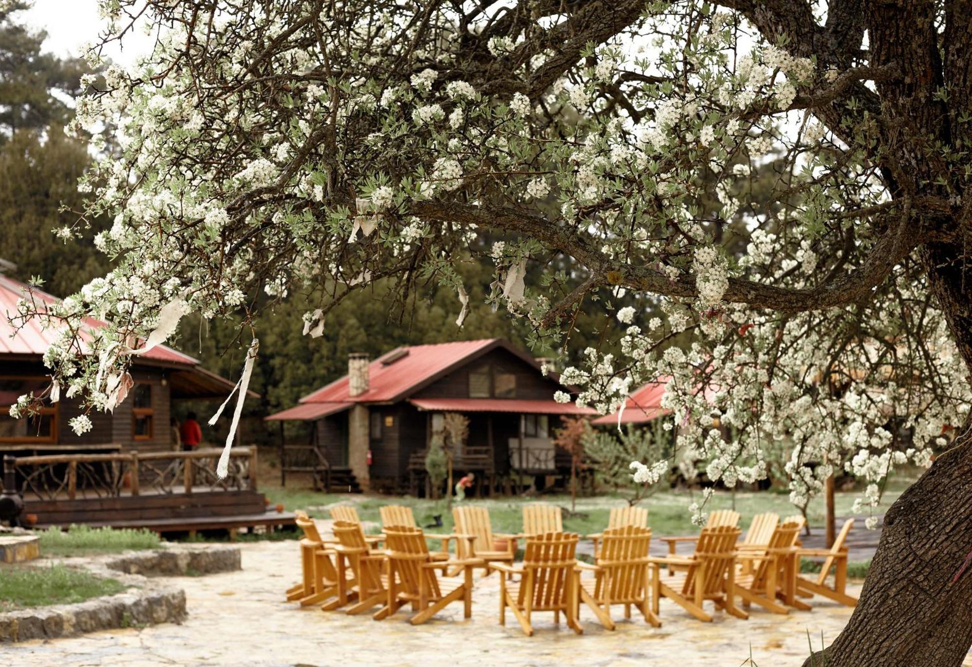 Babakamp Eco Ranch & Retreat Hotel Oludeniz Exterior photo